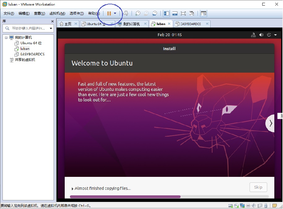vmware-61